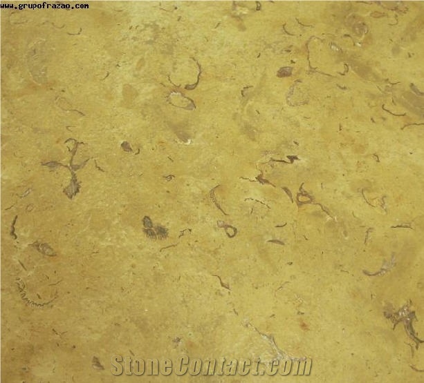 Gold Royal Limestone Slabs & Tiles, Israel Yellow Limestone