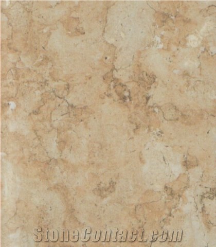 Jerusalem Shelly Limestone Slabs & Tiles, Israel White Limestone