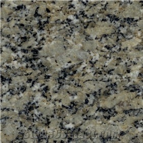 Moss Green (2 Cm) Granite