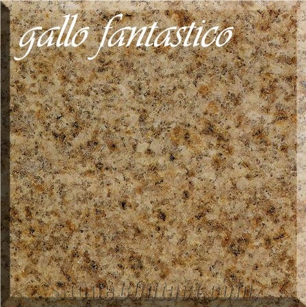 Giallo Fantastico Granite Slabs & Tiles
