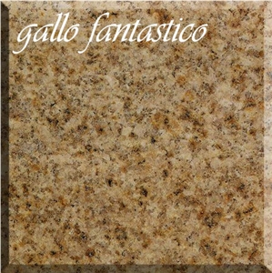 Giallo Fantastico Granite Slabs & Tiles