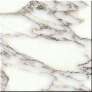 Arabescato Mossa Marble Slabs & Tiles, Italy White Marble
