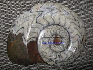 Fossil Stone Ammonites, Brown Limestone Artifacts, Handcrafts