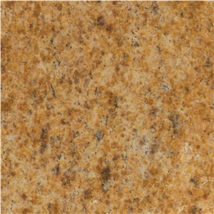 Sahara Gold Granite Slabs & Tiles, Namibia Yellow Granite