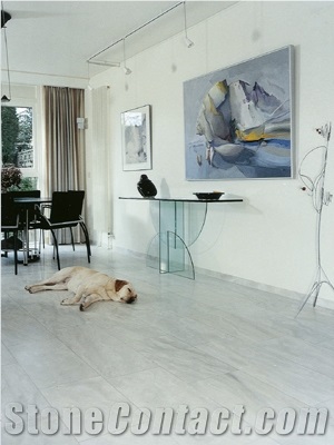 Bianco Carrara Marble Floor Tile, Italy White Marble