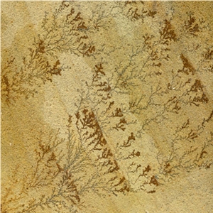 Fossil Sandstone Slabs & Tiles, India Beige Sandstone