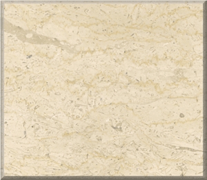 Filetto Meshagar Marble Slabs & Tiles, Egypt Yellow Marble