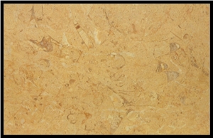 Isis Fossil Limestone Slabs & Tiles, Egypt Beige Limestone