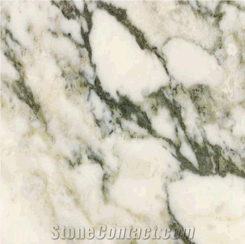 Arabescato Vagli Marble Slabs & Tiles, Italy White Marble