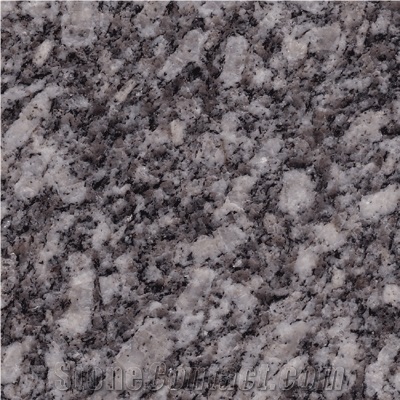 Steel Grey Granite Slabs & Tiles, India Grey Granite