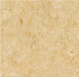 Giallo Atlantide Limestone Slabs & Tiles, Egypt Yellow Limestone