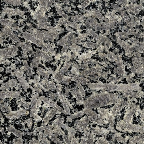 Grigio Scuro Granite Slabs & Tiles, China Grey Granite