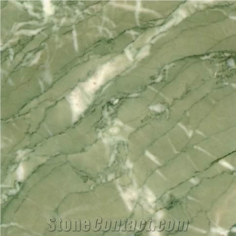 Verde Antigua Marble Slabs & Tiles, Iran Green Marble
