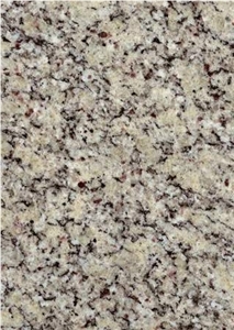 Cream Violet Granite Slabs & Tiles, Brazil Yellow Granite