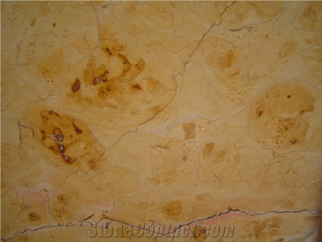 Dorado Tepexi Limestone Slabs & Tiles, Mexico Yellow Limestone