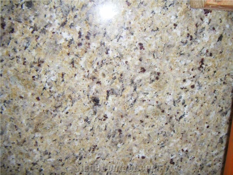 Granite New Venetian Gold Tile,slab, Countertop