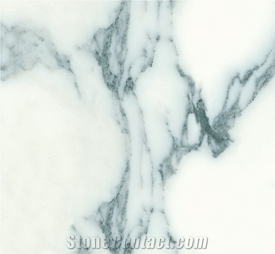 Arabescato Corchia Marble, Arabescato Corchia Marble Slab & Tile