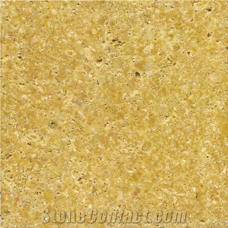 Amarillo Fossil Limestone,Caliza Fossil Limestone Slabs & Tiles,Spain Yellow Limestone