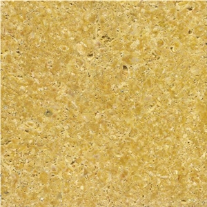 Amarillo Fossil Limestone,Caliza Fossil Limestone Slabs & Tiles,Spain Yellow Limestone