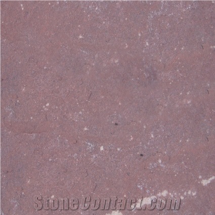 Maple Red Sandstone Slabs & Tiles, China Red Sandstone