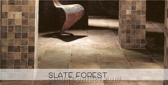 Slate Forest Wall - Floor Tile