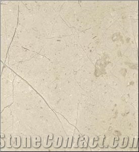 Fossil Beige Limestone Slabs & Tiles