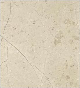 Fossil Beige Limestone Slabs & Tiles