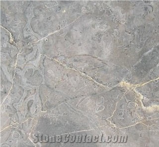 Grigio Fossil Limestone Slabs & Tiles