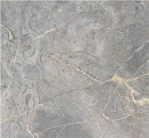 Grigio Fossil Limestone Slabs & Tiles