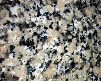 Gris Perla Cremoso Granite