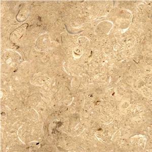 Coquina Limestone Slabs & Tiles
