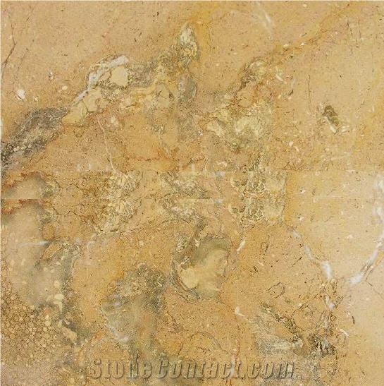 Champaign Marble Slabs & Tiles