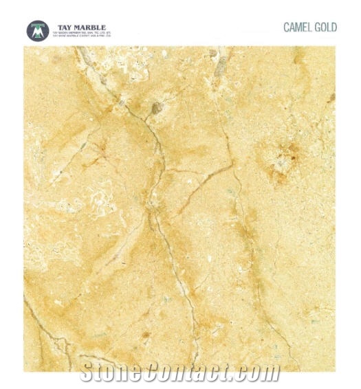 Camel Gold Limestone Slabs & Tiles, Turkey Yellow Limestone