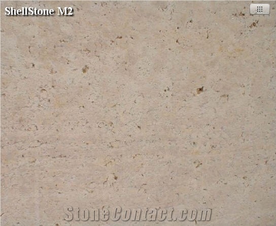 Marbella Shellstone Limestone Slabs & Tiles