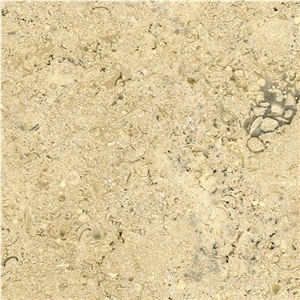 Sinai Pearl Dark Limestone Slabs & Tiles, Egypt Beige Limestone