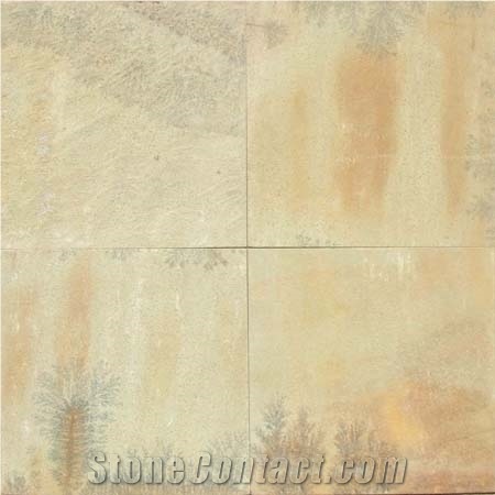 Yellow Fossil Natural Sandstone