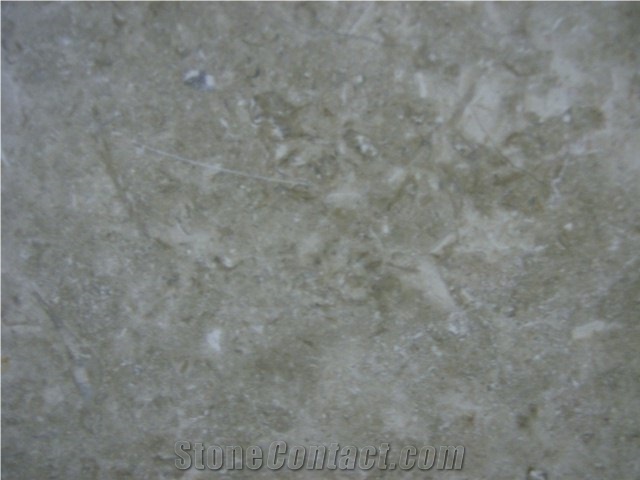 Desert Shell Limestone