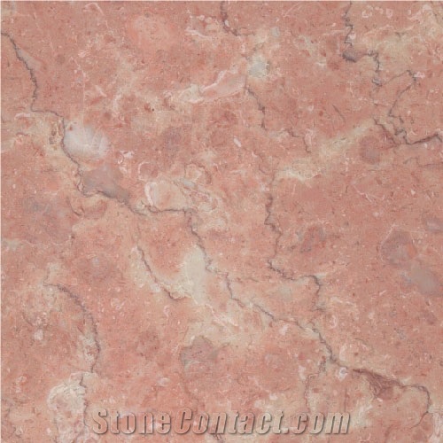 Rosa Tea Red Marble
