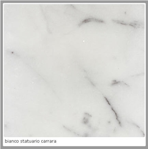 Bianco Statuario Carrara Marble Slabs & Tiles