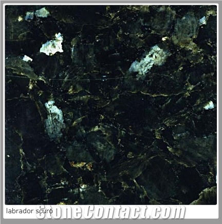 Labrador Scuro Granite Slabs & Tiles, Norway Green Granite