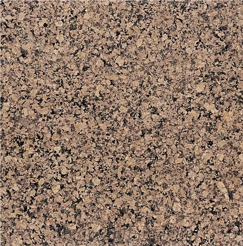 Merry Gold Granite Slabs & Tiles, India Brown Granite
