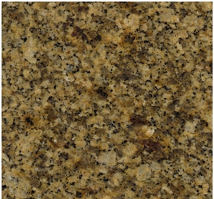 Amarelo Humaita Granite Slabs & Tiles