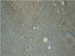 Fossilized Limestone Slabs & Tiles