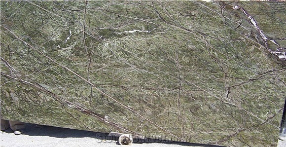 Rain Forest Green Marble Slab, India Green Marble