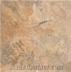 Fossil Mint Sandstone, Bulgaria Yellow Sandstone Slabs & Tiles