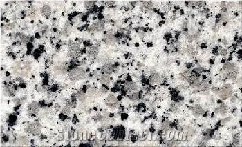 Black White Flower Granite Slabs & Tiles, China Grey Granite