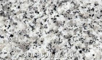 Granite Slab--China Gray, G603