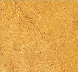 Golden Sinai Limestone Slabs & Tiles