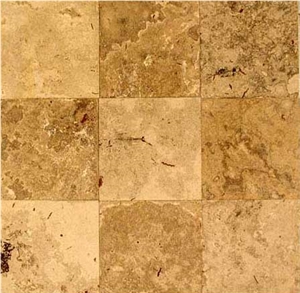 Fossil Lake Classic Slabs & Tiles
