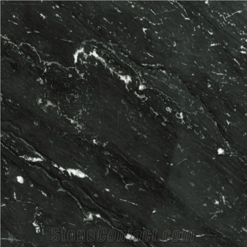 Noir Aziza Marble - Black Marble